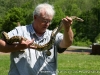 The Reptiliacs