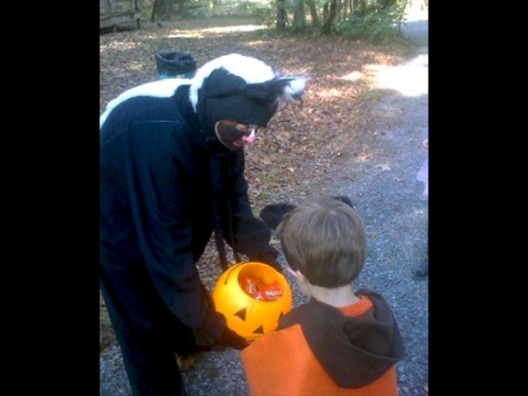 Trick or treating along the Howl-O-Ween Trail. (Nicole Hawk)