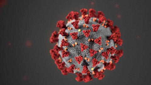 Coronavirus