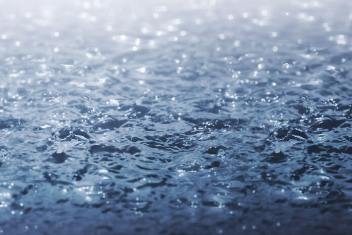 Rain