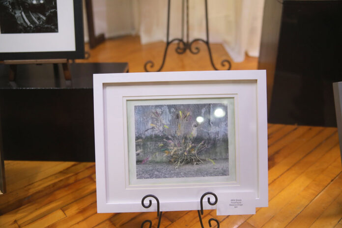 Clarksville Downtown ArtWalk