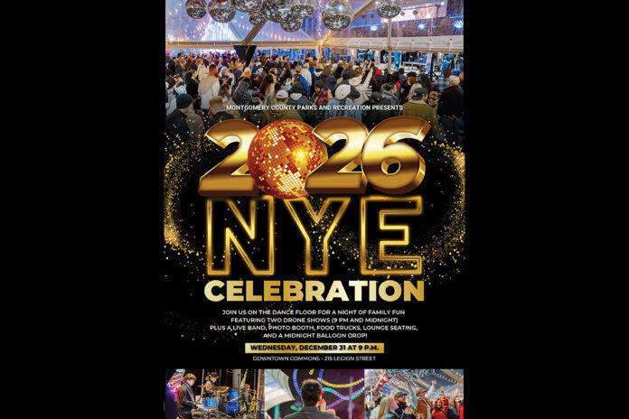 New Year Celebration Party
