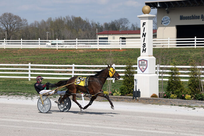 Tip Top Cat with Ronnie Wrenn Jr. winning the $30,000 Open Pace. (Tony Centonze)